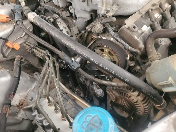 Timing chains/Timing Belt